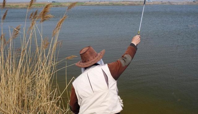 小小星座解说屋|老人钓到一只“乌龟”，背后插着4支箭，经鉴定：这一杆价值18亿