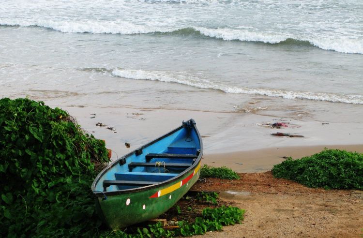 芨芨草001|什么样的男人不能嫁？有这四个特征就得慎重考虑，特别是第四个