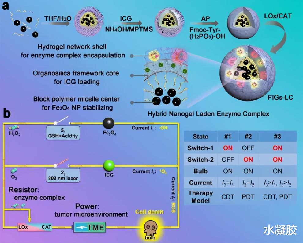 纳米|《自然·通讯》华东理工大学：过氧化物酶体启发的混合酶纳米凝胶