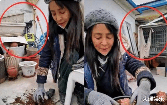 李勤勤|先嫁日本人再嫁美国人，58岁李勤勤现状落魄，破旧农家院摆满废品