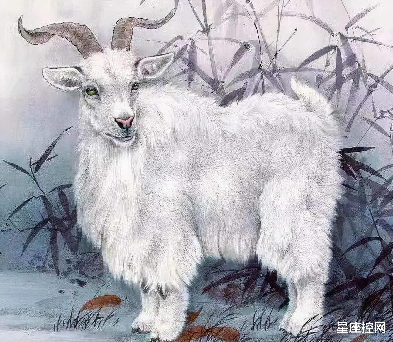 星座控网 十一月运势开始好转，事业和生意有新进步，衣食无忧的三大生肖