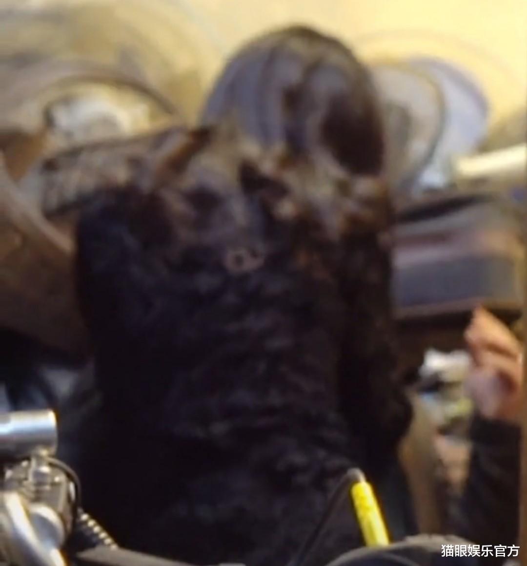 吕方|45岁张颂文与朱珠拍吻戏，二人动作亲密拍摄很投入，看起来太般配