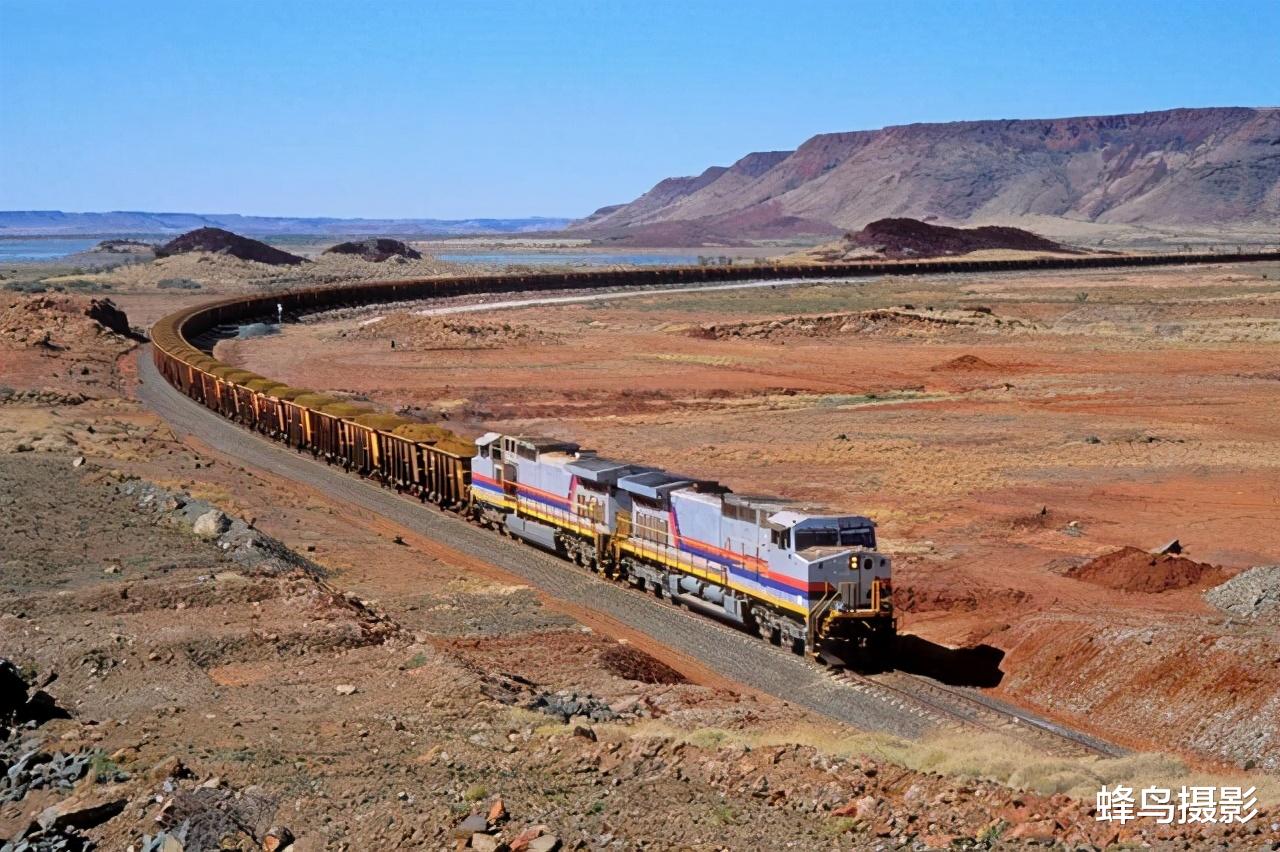 科学家 35张活久未见的照片，两只袋鼠打架太像人，一只勒住另一只大脖子