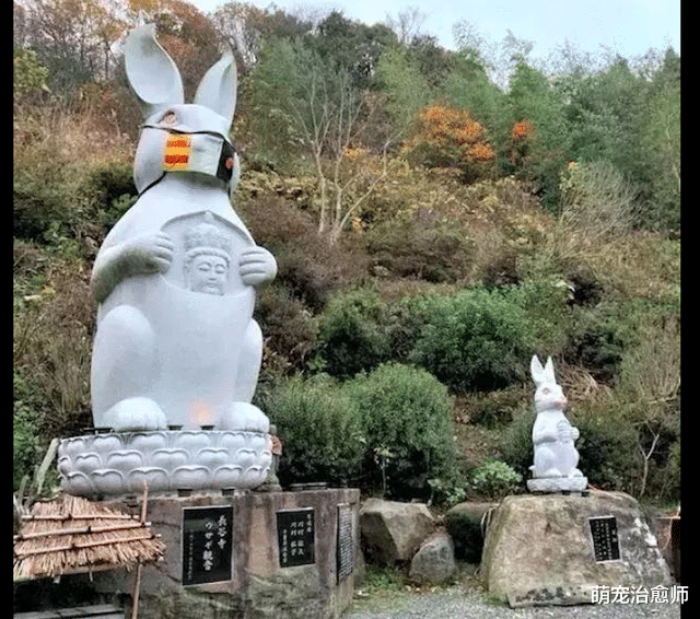 寺庙为节省除草开支,竟选择散养兔子来吃草,两个月后后悔不已!