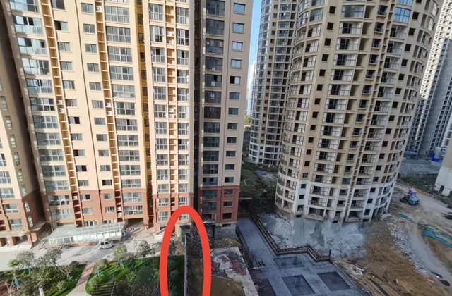 南阳|南阳“302”现状：革命尚未成功
