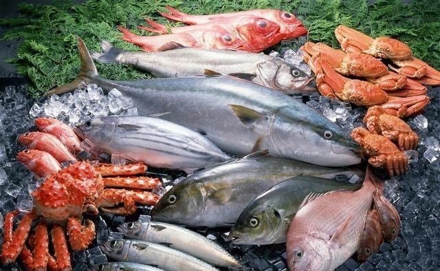 太空 海鞘为了生存能有多狠？吃掉自己的脑子，从动物变成“植物”