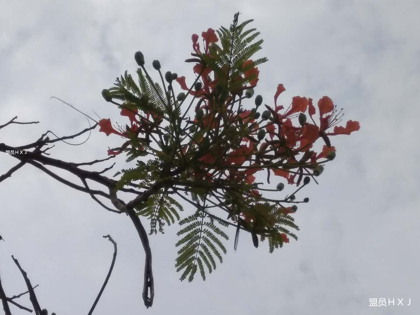 自驾 金沙湾的“五一”