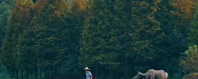 玉龙雪山 这座全网几乎0差评的小县城,被誉为“江浙小瑞士”,凭什么?