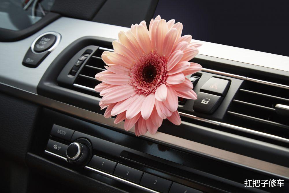 新车除甲醛，放水果无效，放活性炭作用小，学会这招，简单有效