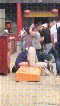 “相信大家都在海洋乐园里面看过真正的企鹅,但是企鹅化石大家可曾见过吗?”
