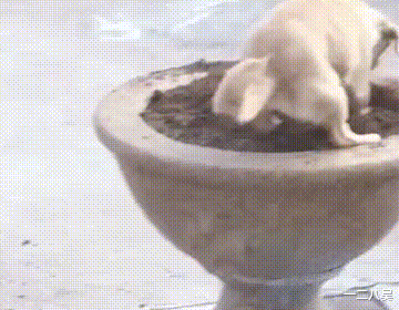 |“实习女同事每天都来我办公室请教问题！我真有些体力不支”，哈哈哈