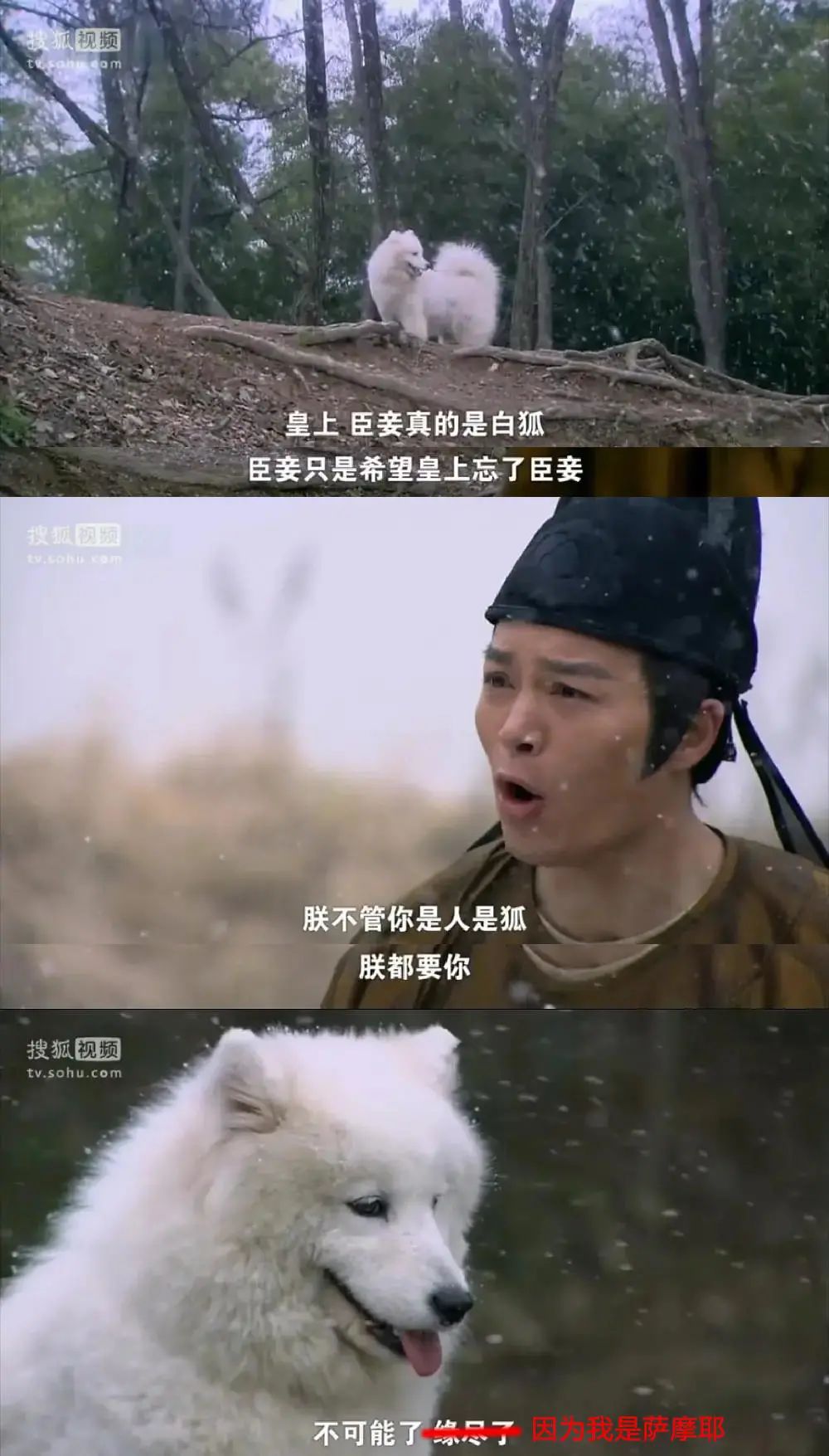 道具师|“假”到离谱，她活该被3亿人追着骂！