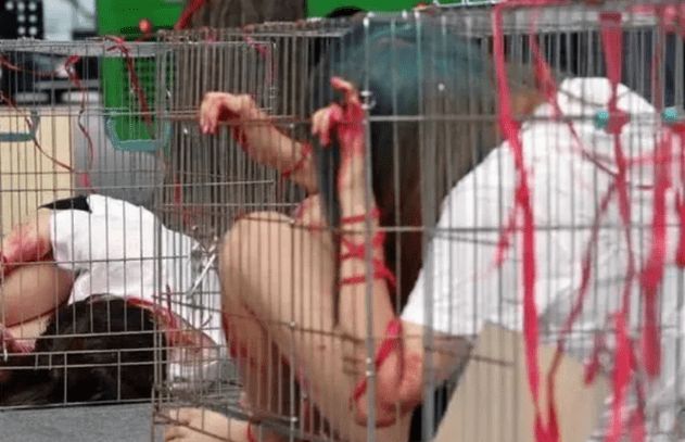  年轻男女为何被关铁笼，被丢大街上？得知原因，网友纷纷拍手称赞