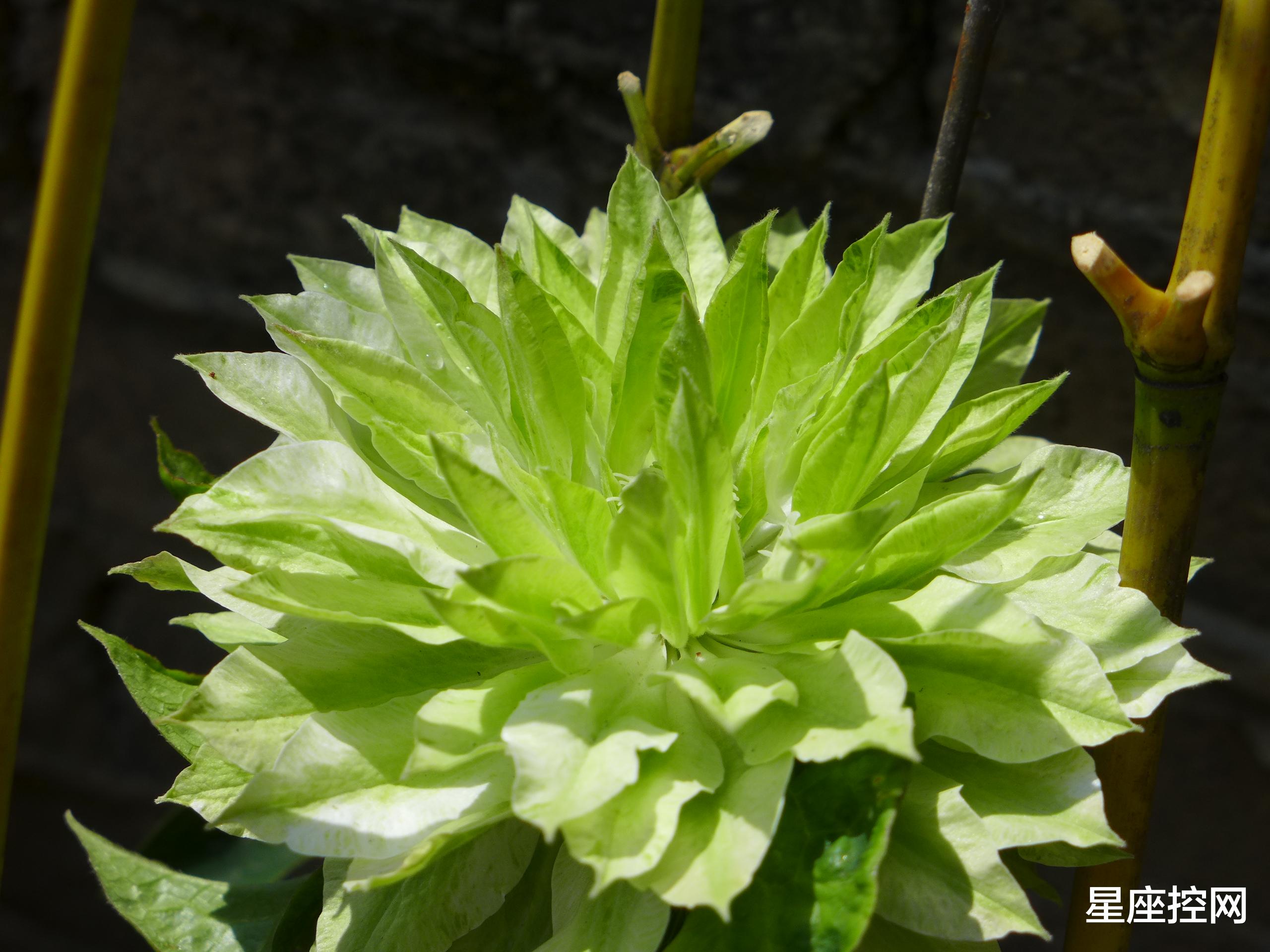 |哪几个日子出生的人，就算再艰难，事业也能凭借真本事，赢得尊重