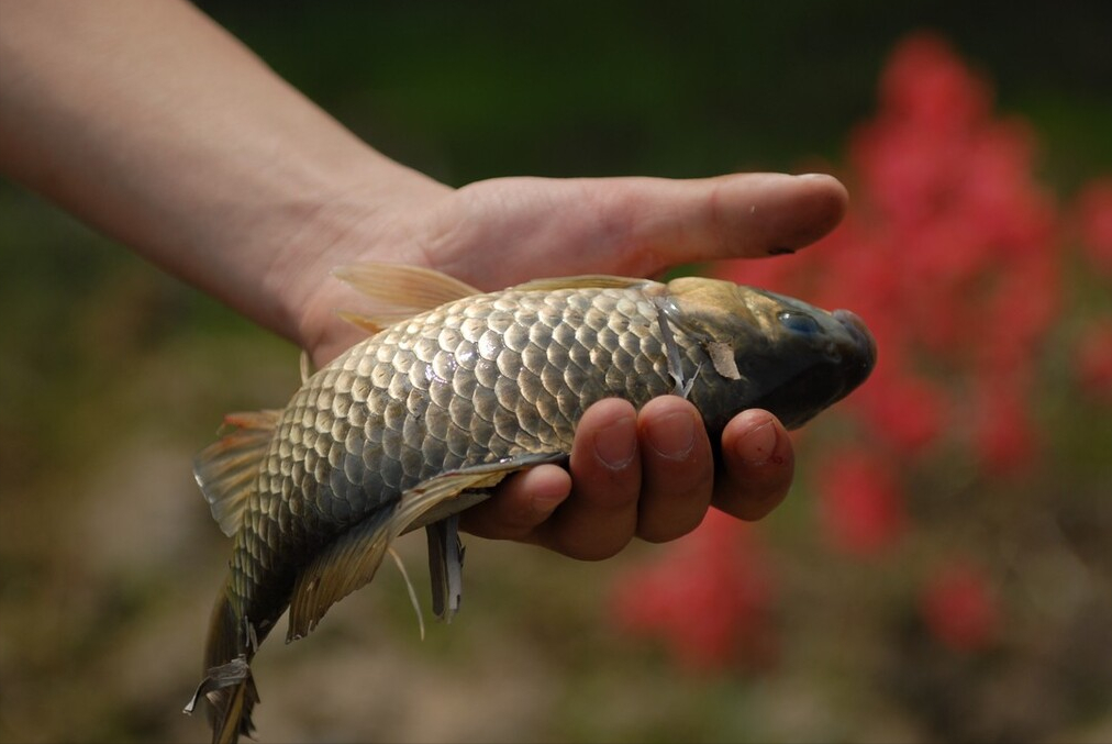 |为什么好天气，反而钓不到鱼