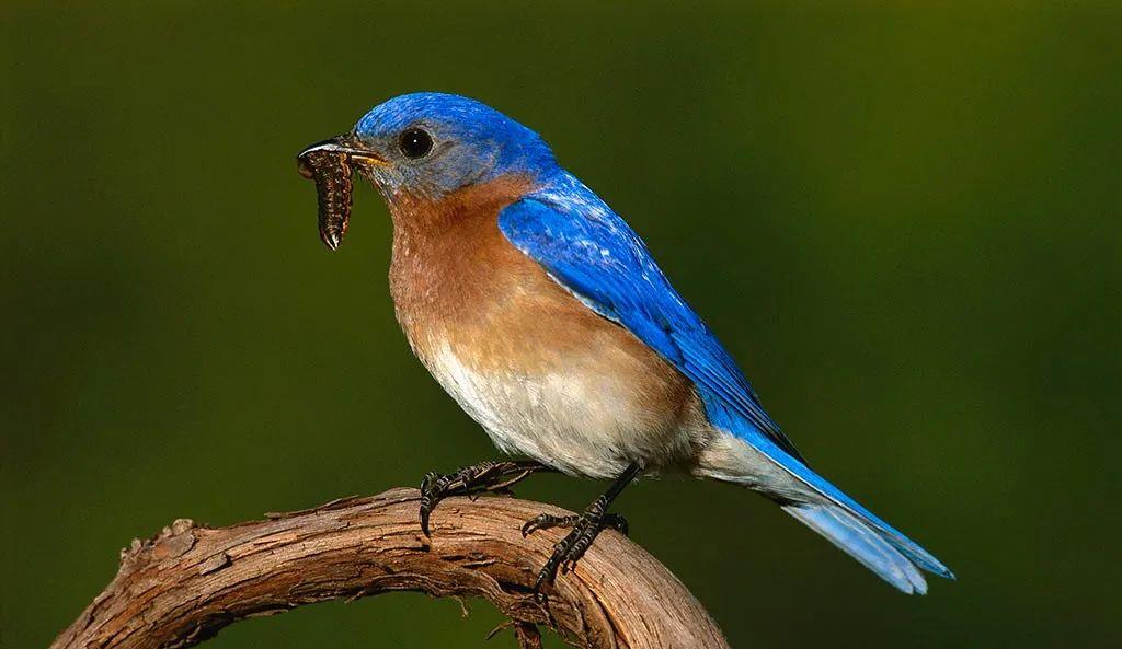 神舟十二号 生物学家研究新成果：采用和谐共振原理，人类所有病症将会消失？