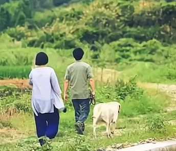 梦缘易八字命理|财星多现易多婚,虽离婚不离家,但难忘旧爱期待复合,更懂得珍惜