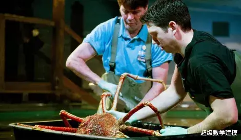 蜘蛛 世界最大杀人蟹！长达4米，60人因此丧命，还敢吃下鲨鱼......