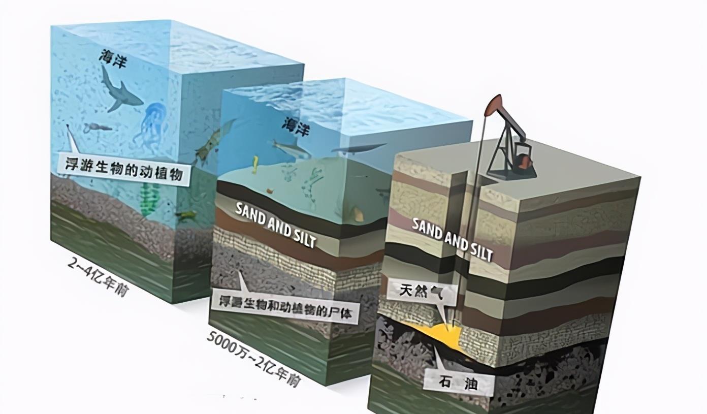 古生物|石油真的是古生物形成的吗？一个油田上亿吨，古代有那么多生物？