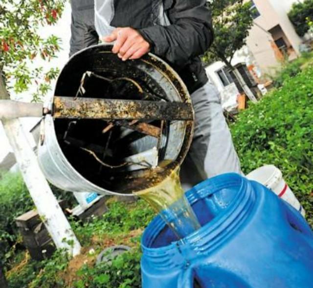 斗转星移啊|山林间有可以收养的蜂群吗？需要做哪些准备工作？