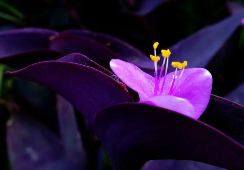 离雨微凉 看清一个人,三件事就够了