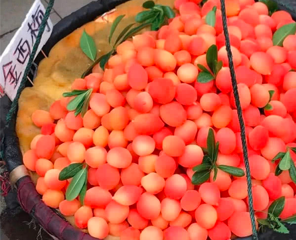 萱爸育儿经|母子重庆旅行买到“金西梅”，当地人：这种假水果别给孩子吃