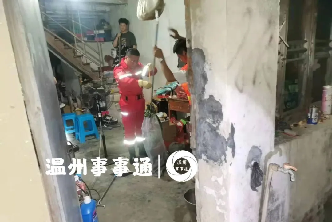 温州吃玩圈 头皮发麻！温州一居民家中惊现毒蛇！