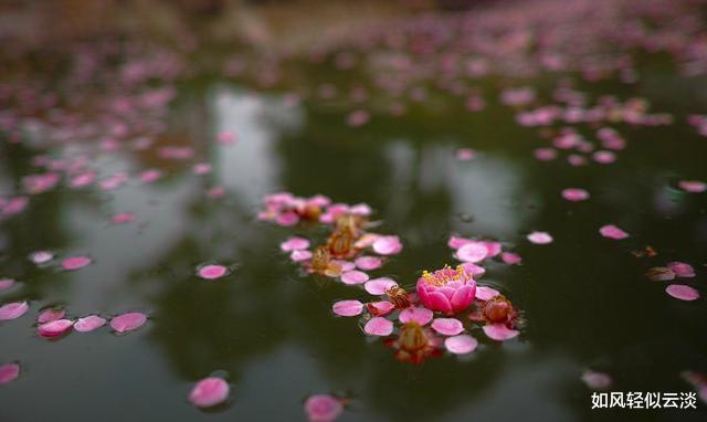 杨超越 年过五十，不要在朋友圈“显摆”这些，很掉价