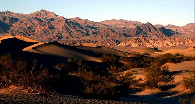 与世隔绝 全球唯一与世隔绝5万年的鱼，只剩38条，差点被醉鬼连锅端了