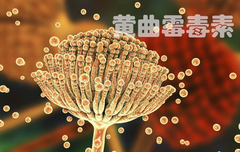 肝脏|“伤肝榜单”已公布，不只是喝酒，医生劝告：这3种粗粮尽量忌口