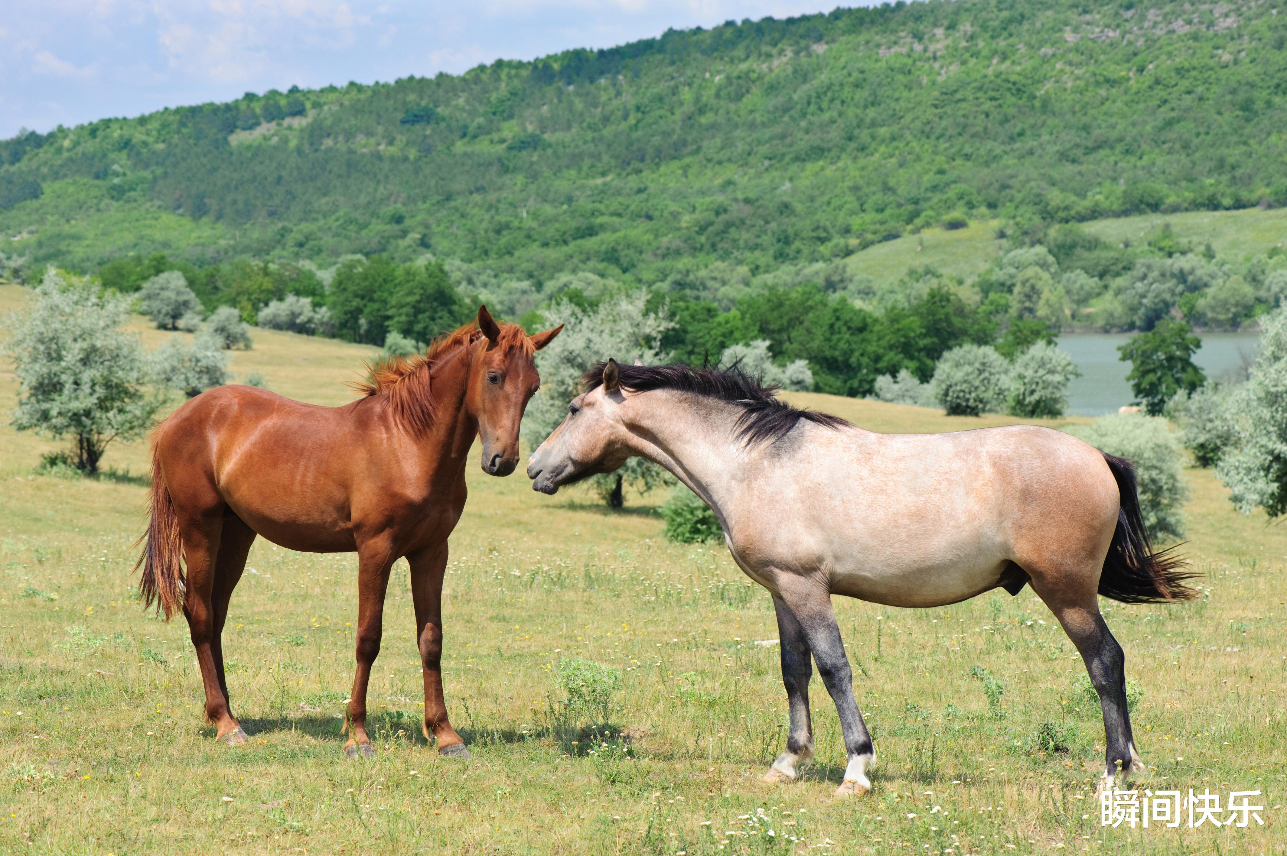 办公室|12月28-1月24日,赢得先机,闯出名堂,好运连连,脱贫致富的生肖