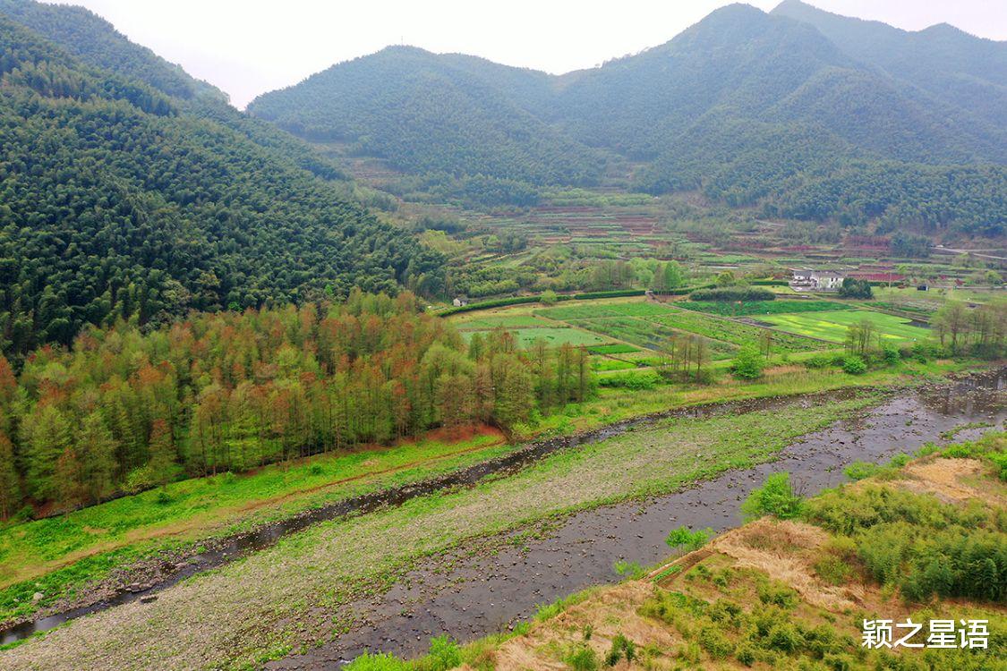 福建省 宁波规模最大的牡丹花园，居然深藏了五年，为啥不欢迎观赏