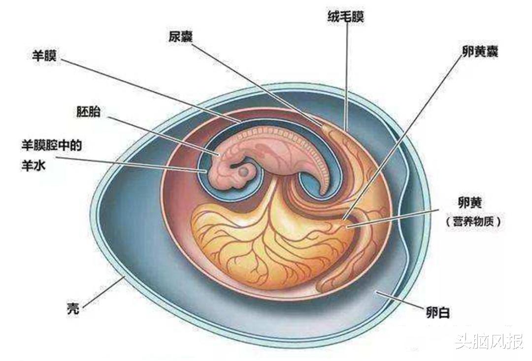 地球2.3亿年前下了场200万年的雨,帮恐龙塑造一亿六千万年霸业