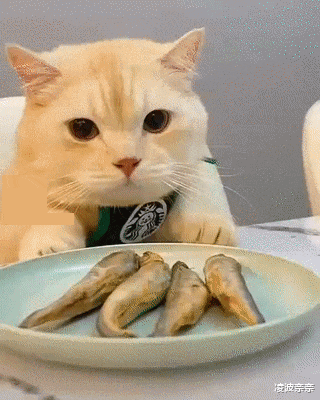 “女神约你但你穷,该如何委婉的拒绝?”哈哈哈评论精神富足!