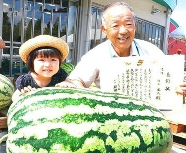 太空育种 为啥每次神舟飞天都携带种子？背后是2000亿市场，太空育种很厉害