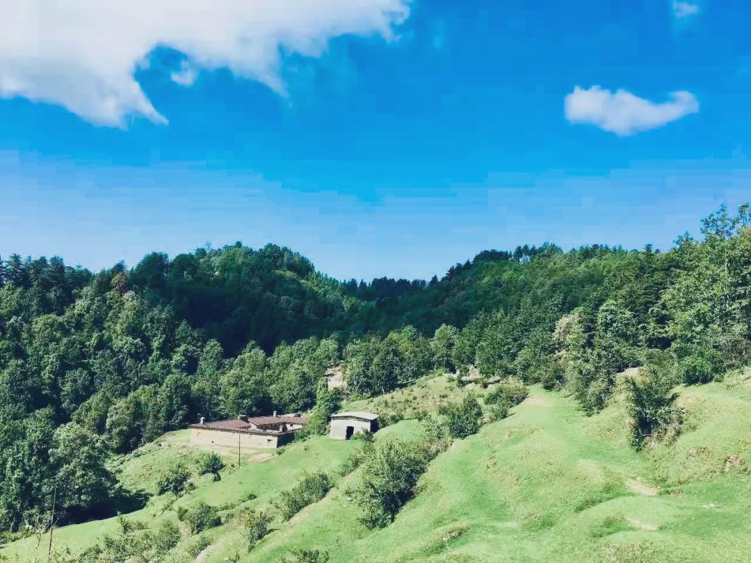 丑故事|闻中 | 漫游喜马拉雅群山,寻访传说中的隐修之地