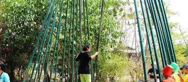 东南亚旅游 我国“没面子”的国界线，村民天天出国买菜，一不小心鸡就叛变了