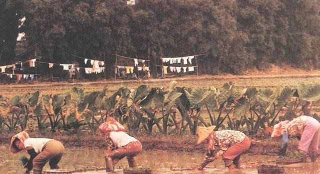 台湾 新婚9天泪别妻子，潜伏台湾省40多年，晚年回归才知家中儿孙满堂