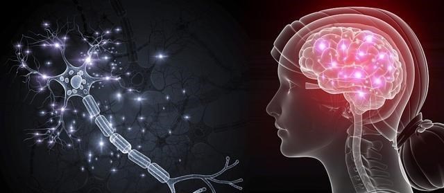 恐龙统治地球一亿七千万年,为什么没有进化成高等智慧生物?