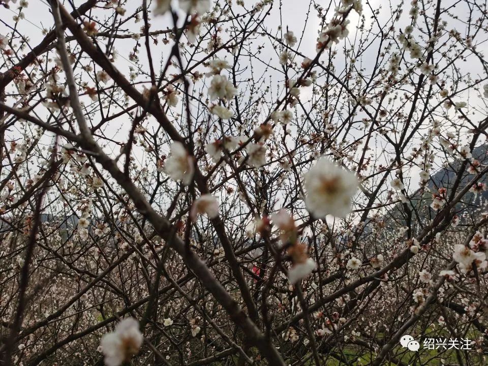 最爱大绍兴 狂飙至25℃！“报复性”回暖要来了！不过还有一个坏消息……