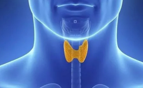 睡眠|吃一顿等于8斤五花肉,很多人爱吃,医生怒斥:愚蠢,这是自毁甲状腺