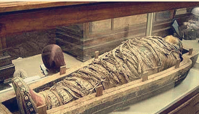 张生全精彩历史 一具木乃伊出世，多国争吵认领，专家看后却立刻向警方报案