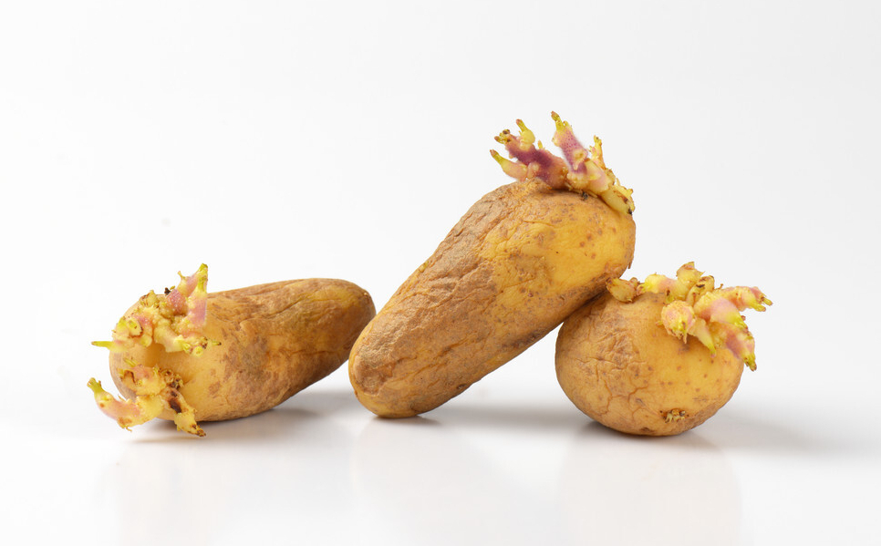 母婴参考|孕晚期有三种蔬菜或引发假宫缩,既影响预产期判断,又易致早产