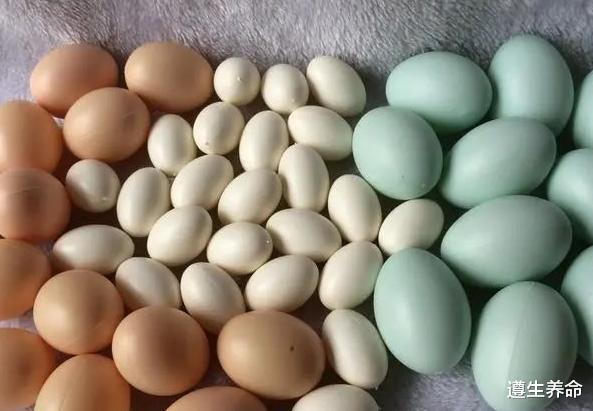 鸡蛋、鸭蛋、鹅蛋,哪个更有营养?医生告诉你答案