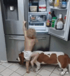 美人阁 二哈不要回头看美女，掉水里了吧哈哈哈