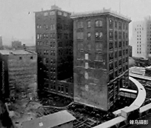 猩猩 30张罕见的照片，双头蛇2个头同时吃东西，猩猩妈用小猩猩擦屁股