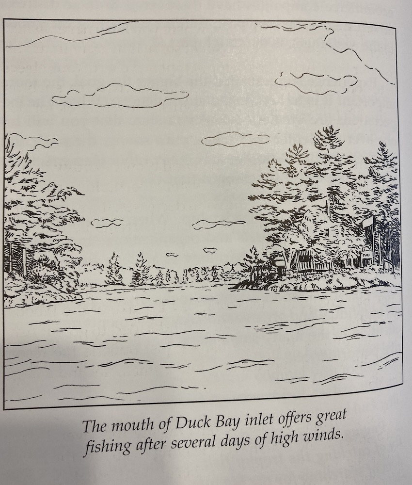 美国|「钓鱼与人文意识」在有鱼的地方下钩 美国垂钓和管理的智慧