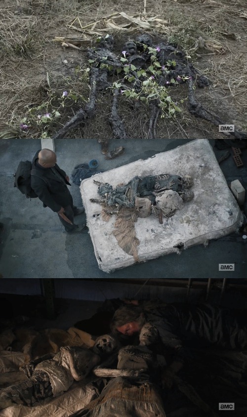 行尸走肉|《行尸走肉》S10E19: 循环往复的邪恶