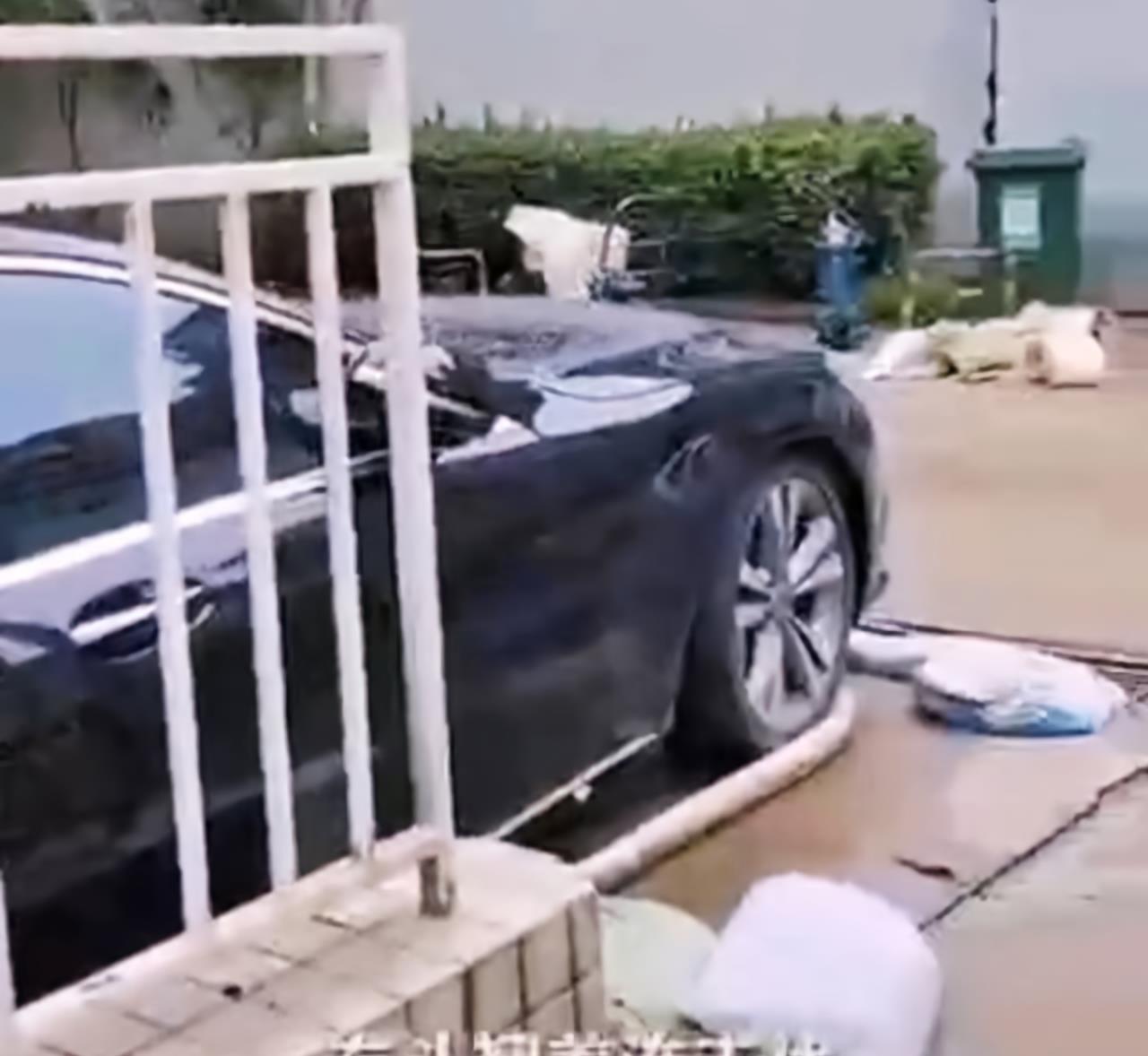 小海社会论|河南郑州：黑色奔驰为躲泡水，堵住车库，导致其他车辆全部被淹