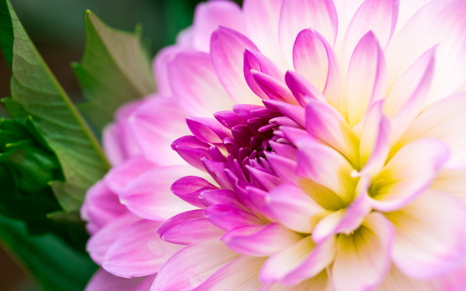 遇见小媛 到了中年,婚姻幸福的女人,身上都有3点“迷人”之处